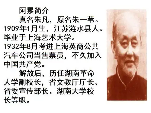 十九课一面ppt课件2.ppt