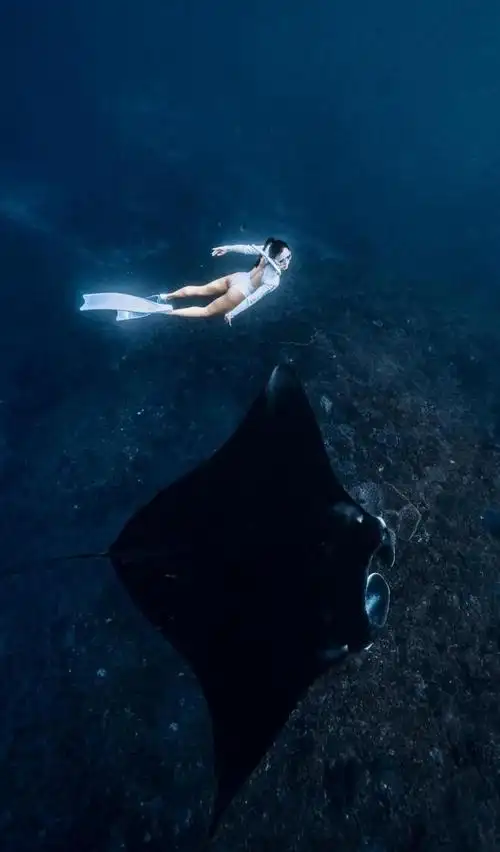 女星刘芊含穿紧身健身服运动展现优美身姿简直让人羡慕和嫉妒