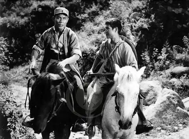 《平原游击队》