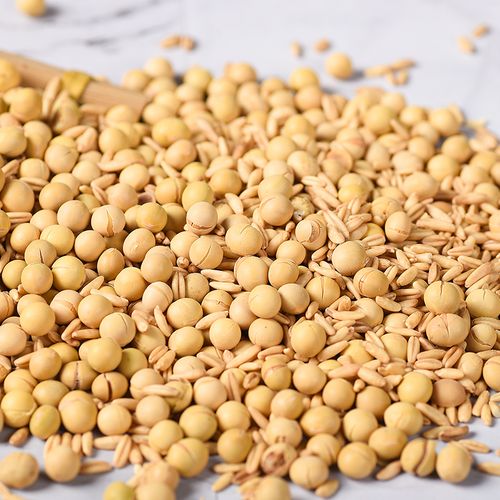 豆浆原味黄豆现磨商用小包浆料包熟黄豆浆五谷杂粮组合