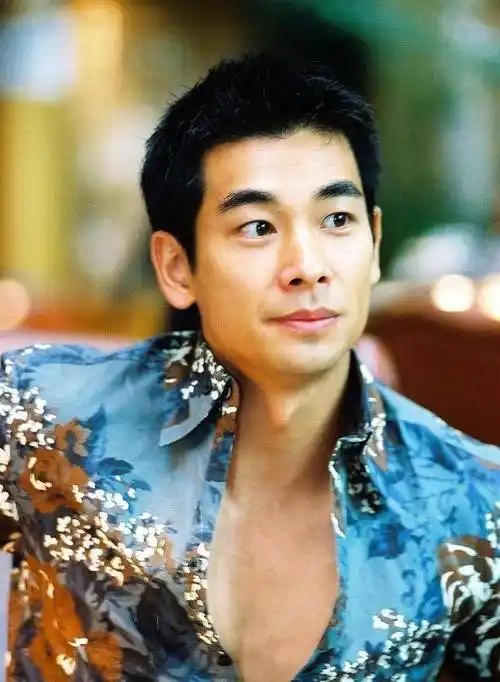 赵文卓:我现在没有能力养她,暂时不结婚,记者:反正梅艳芳有钱