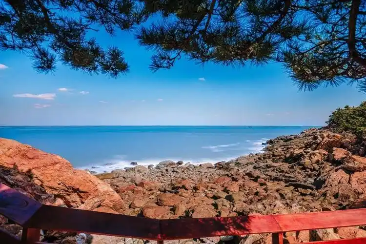 嗨,秋天!秋日海边别样美,快来打卡连岛深秋美景!