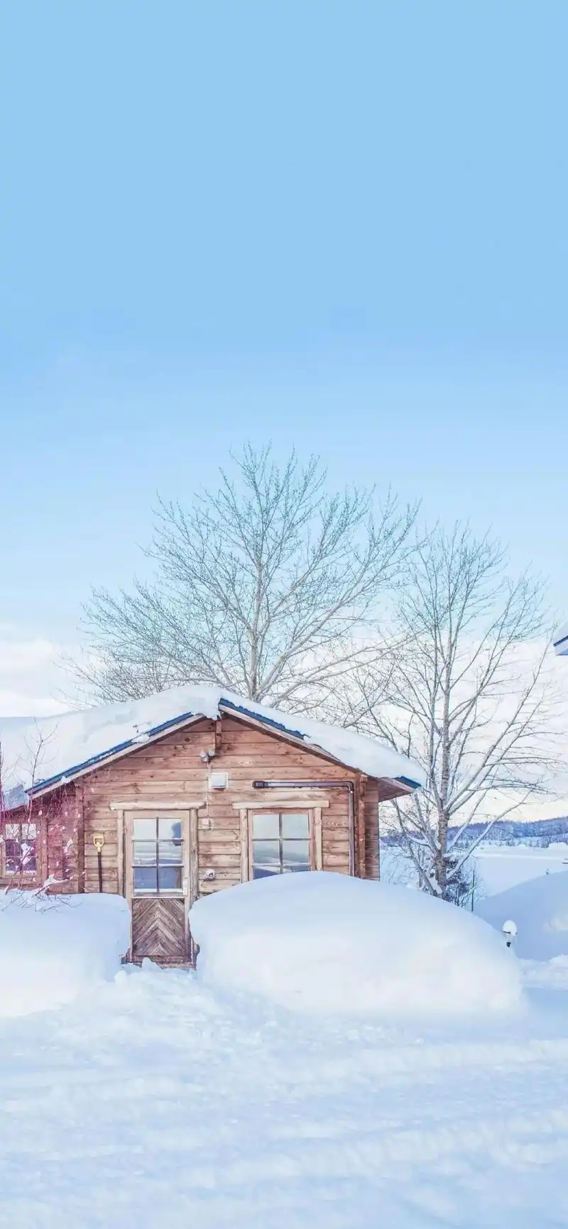 全面屏壁纸|抖音热门壁纸高清原图