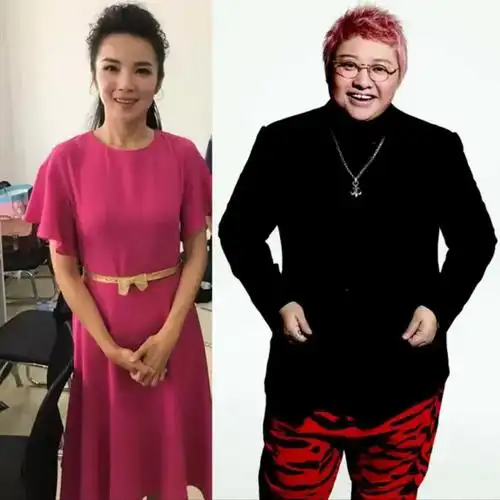 管彤:与韩红传绯闻,41岁结婚,42岁高龄生子,现在过得怎样了?