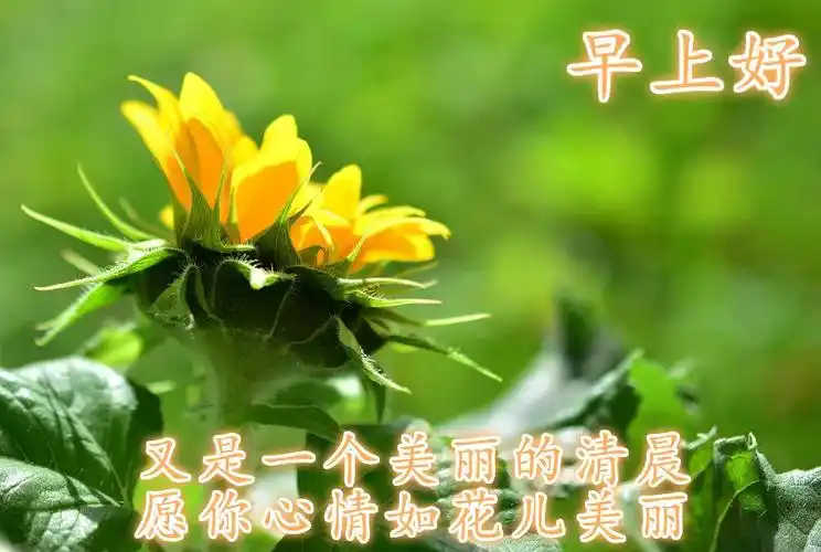 2021年清晨早安问候祝福语大全 早上好朋友圈的关心问候语句子图片