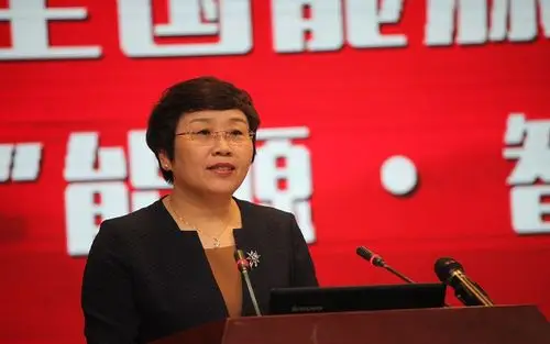 中国石油大学(华东)副校长张玲玲致欢迎辞会上介绍了联盟筹备情况和"