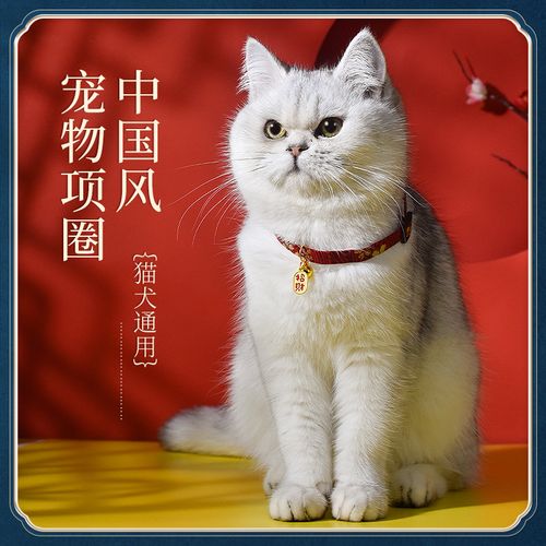 猫咪项圈猫铃铛围脖狗狗脖圈幼猫脖子饰品猫牌防走丢宠物装饰项链