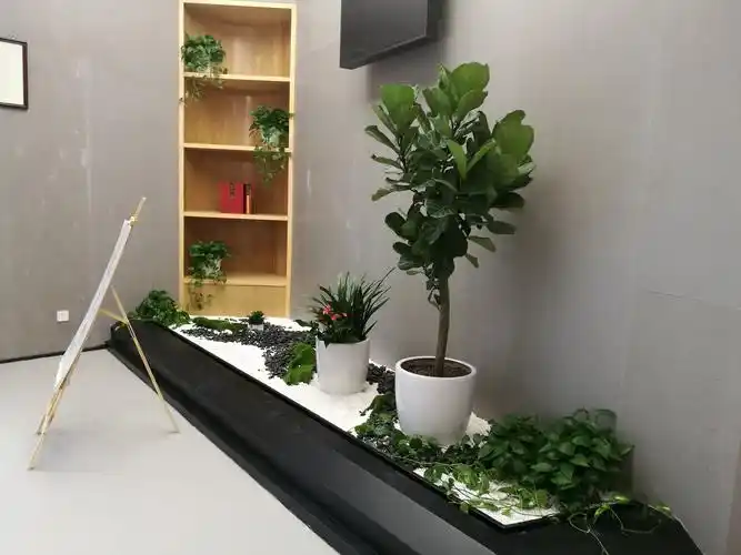 花木租摆,绿植租赁,园林景观设计,小区绿化工程