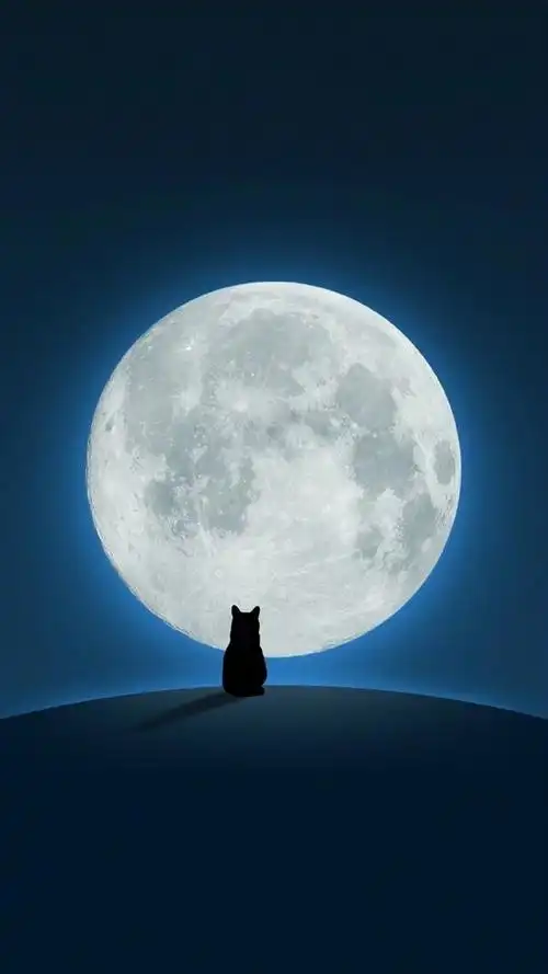 "世界上漂亮的脸孔很多 有趣的灵魂太少