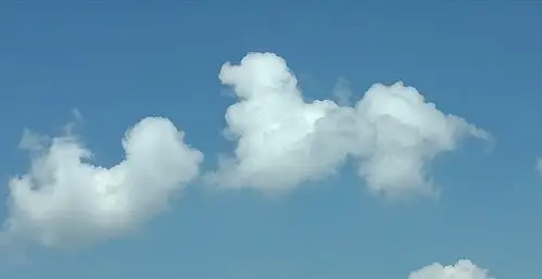 天上的云朵像两只小狗可爱极了