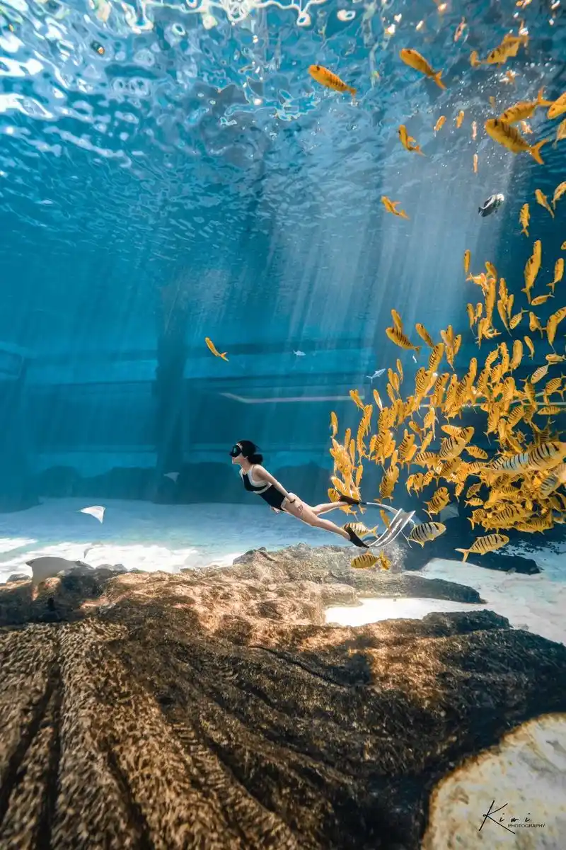 三亚小黄鱼馆水下拍摄.#自由潜水 #水下摄影 #潜水女孩 # - 抖音