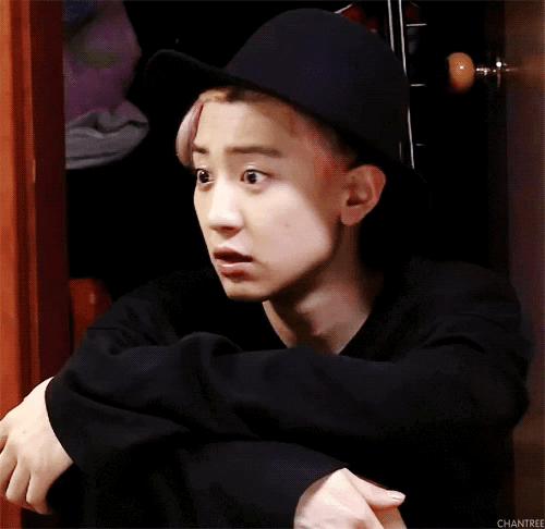 exo朴灿烈动态图片 gif图片