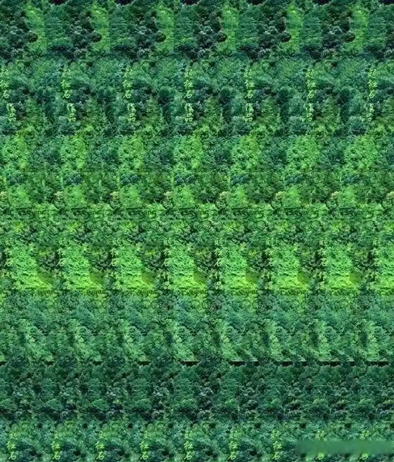 分享一张非常有趣的"裸眼3d立体图"! 据说是左右脑协调的人才能看得出