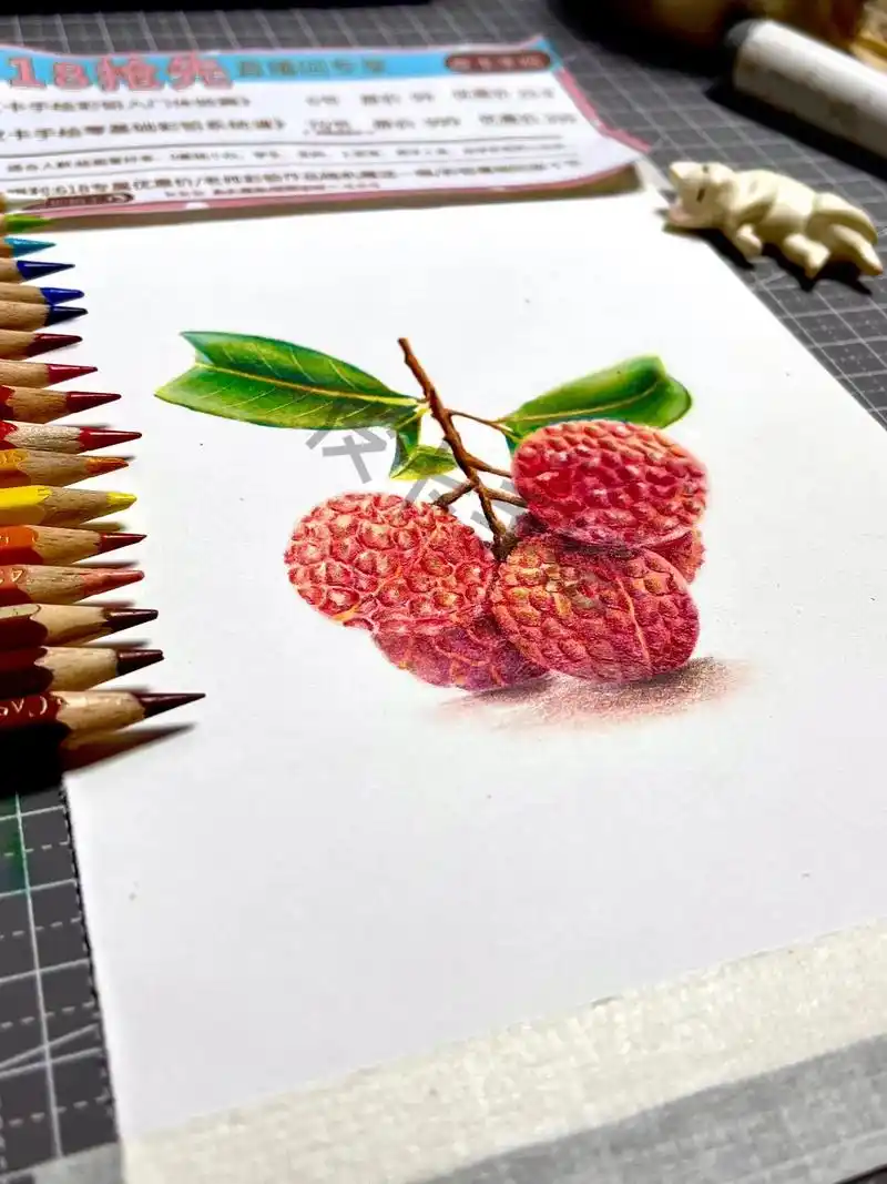 彩铅 #一起学画画 #荔枝#手绘 #画画 - 抖音