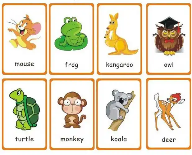 一阶段 第11周 weekly tips