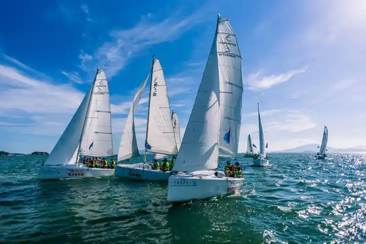 首页>要闻>正文在巽寮湾体验帆船出海绿水青山就是金山银山.