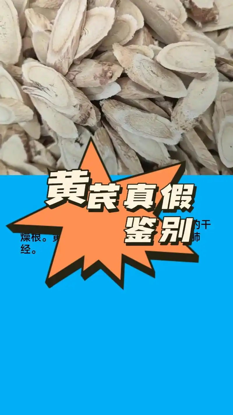 正宗黄芪片为内蒙黄芪与膜荚黄芪,黄芪与党参当归 - 抖音