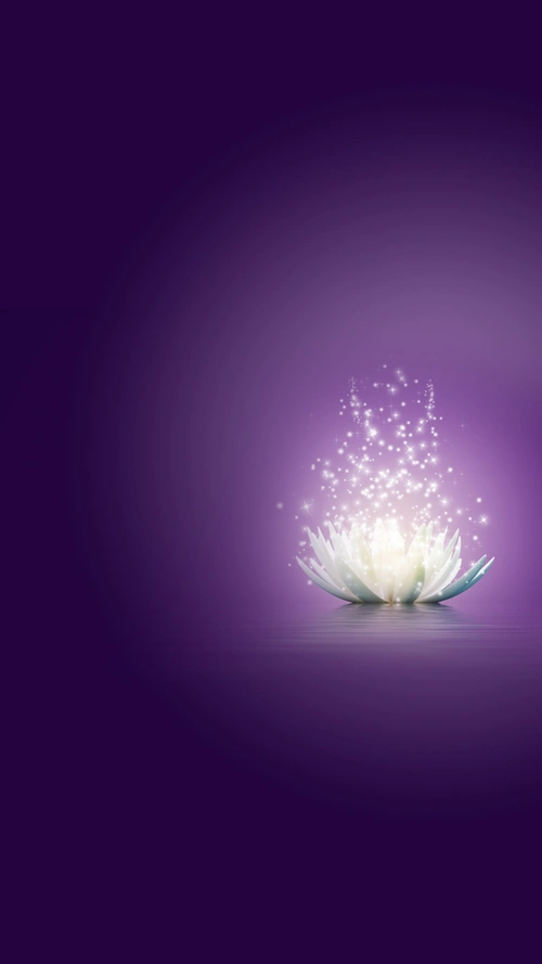 白色发光莲花h5紫色背景