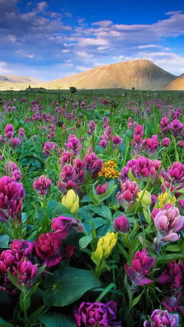 宽屏山水自然美景唯美图片手机壁纸