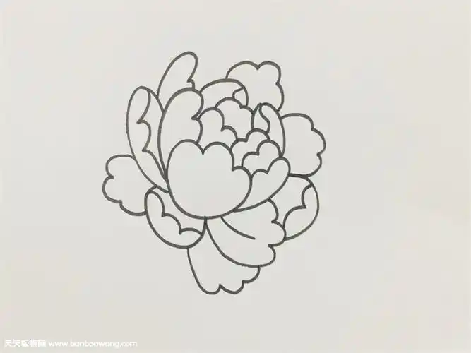 笔画关于牡丹花的简笔画图片牡丹花简笔画怎么画富贵牡丹花简笔画图片