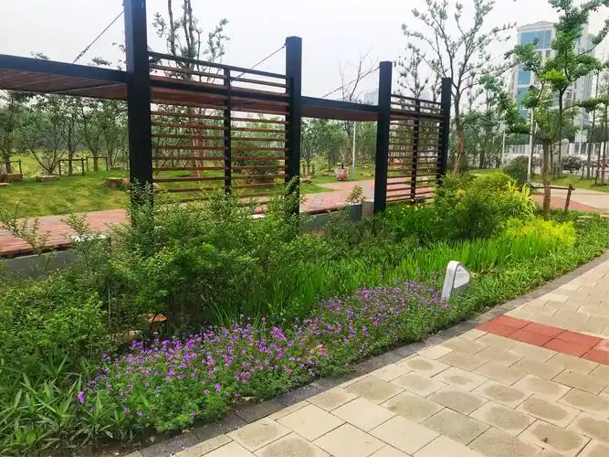 【张田】海绵城市—无锡雪梅路雨水花园