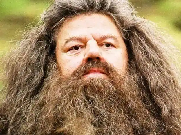 男人长胡子是为了撩妹还是竞争?