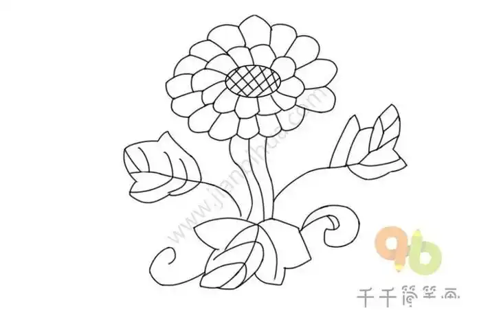 太阳花简笔画图片大全 零基础绘画