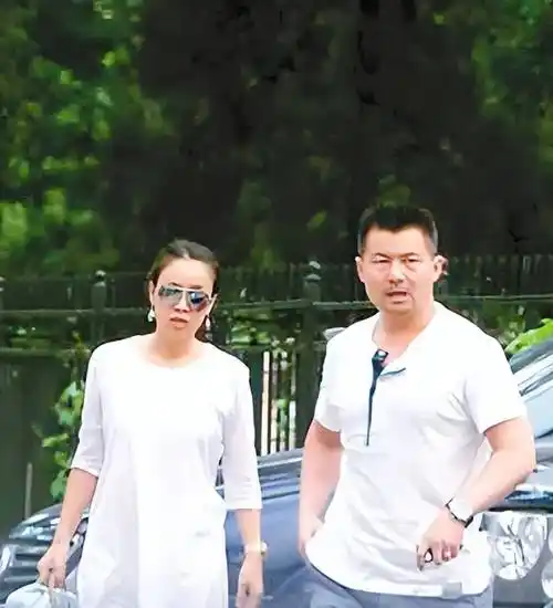 那英:和高峰分手后,带着儿子嫁给孟桐,如今苦尽甘来_比赛_时间_俩人