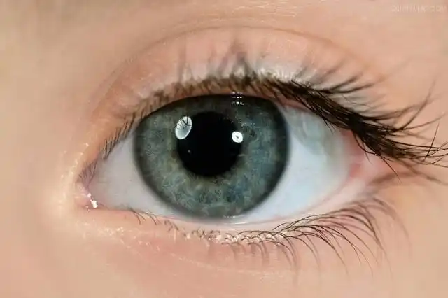美丽的眼睛