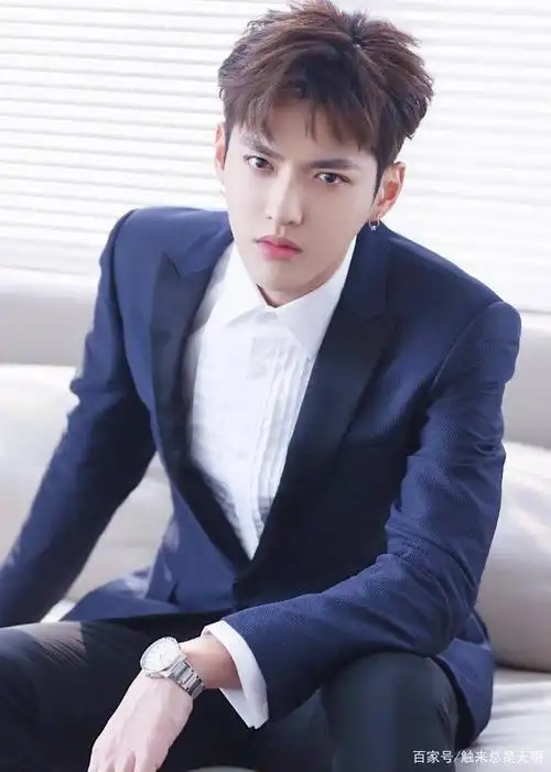 每个人的审美不同,对于帅的定义也不同,在中国的娱乐圈帅哥可谓是层出