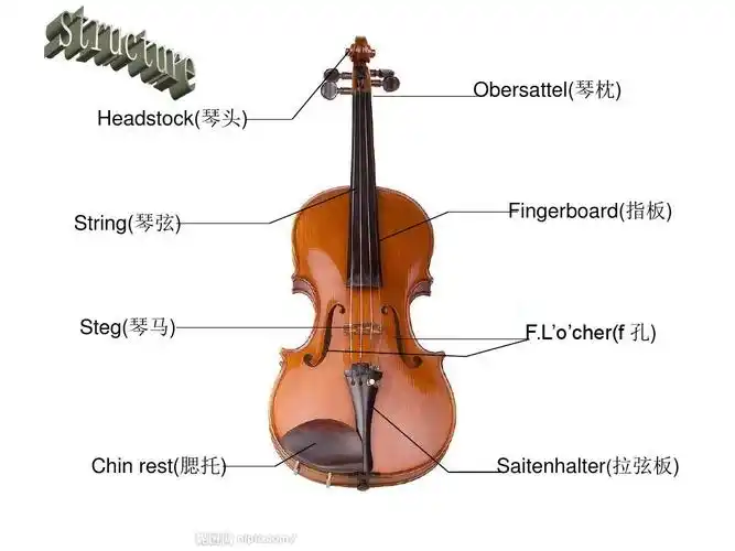 小提琴介绍英文ppt