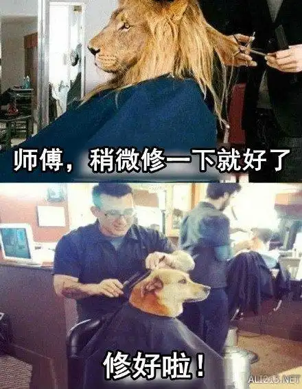 理发师永远都不知道啥叫稍微修一下