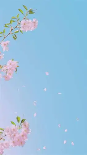 壁纸|清新的护眼壁纸!换上立马变文艺!