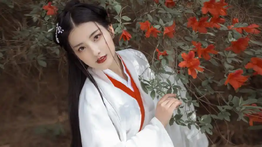 古风美女美艳迷人写真桌面壁纸壁纸