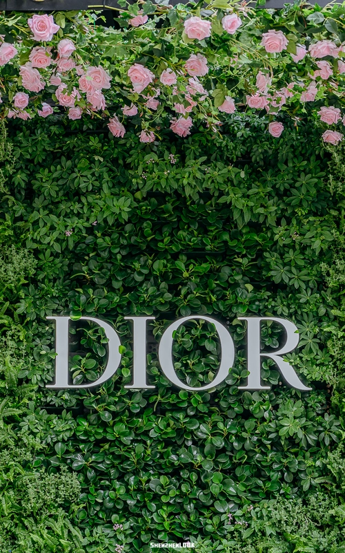 迪奥口红专柜价格look