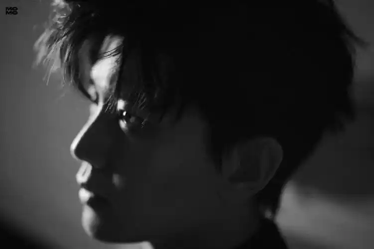 任嘉伦黑白渲染氛围感壁纸好爱