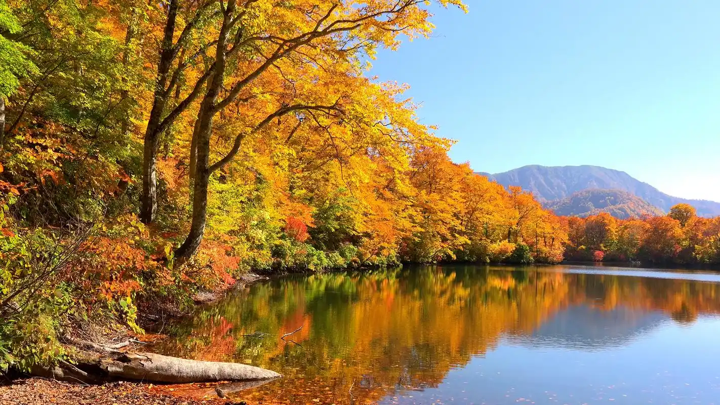 旅途风景 | 第十五期