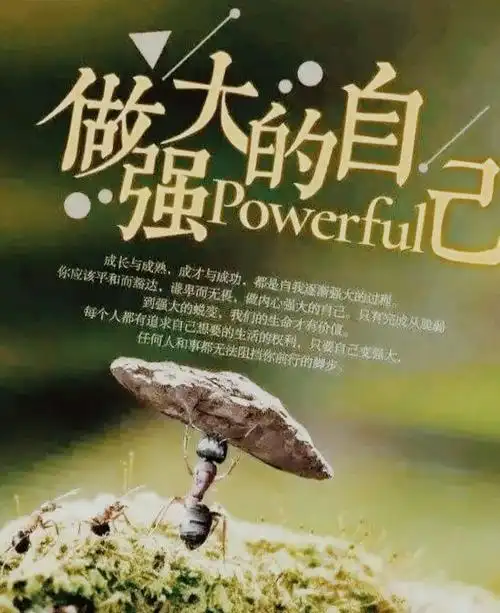 人生的豁达与淡定 - 草稿