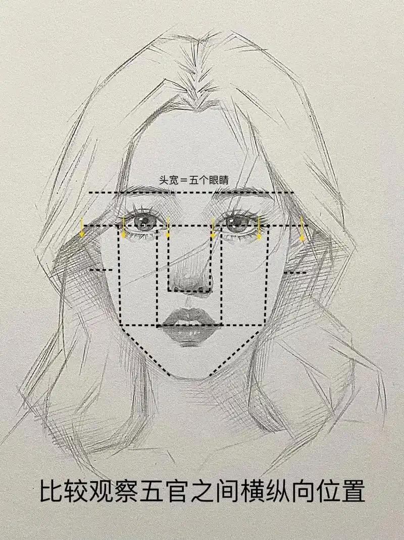 肖像画基础技法全书百度云 - 抖音