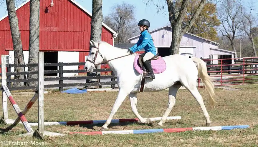 english lesson: get over it!