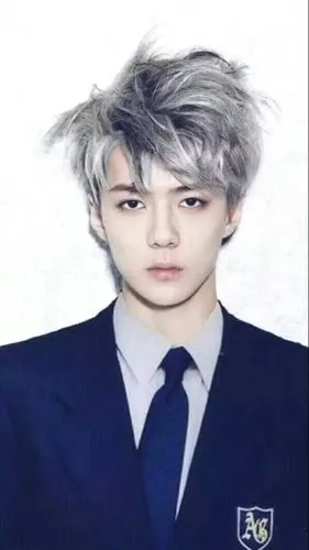 吴世勋 霸道总裁