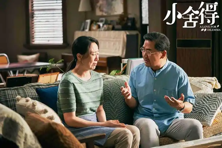 宋佳,佟大为,蒋欣,李佳航领衔主演,张国立特别出演的电视剧《小舍得》