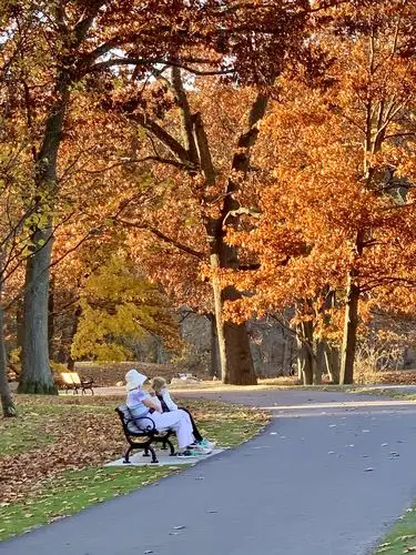散步时的街拍 - 美篇