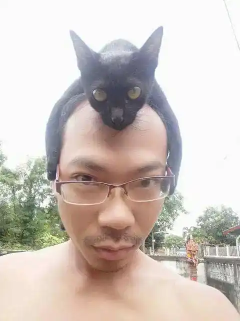 男主发了张自拍照,第一眼看还以为戴了特殊的帽子,近看后笑屎..._眼镜