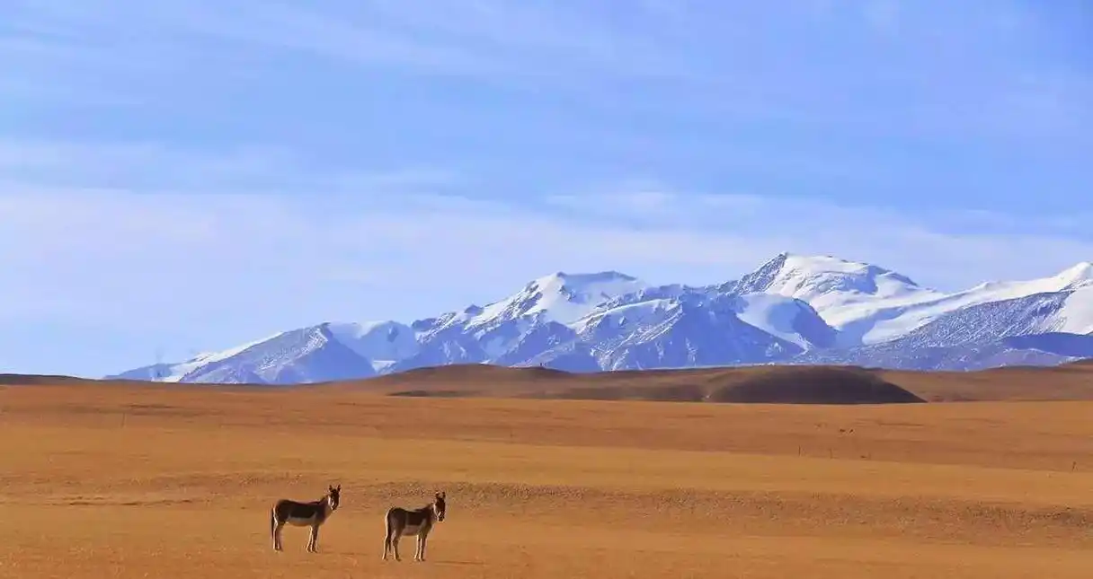 绝美秘境丨西藏阿里无人区!