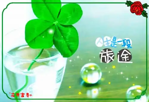 清新唯美的四叶草图片_幸福爱情的见证