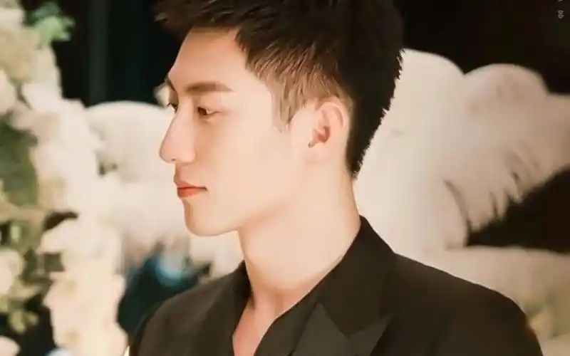 【黄景瑜】【结爱千岁大人的初恋】【贺兰静霆】【havana】| 魅力值