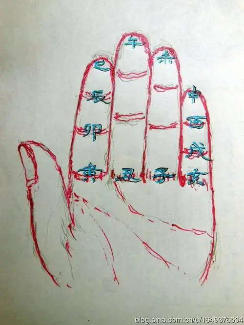 左掌寅位在哪里?