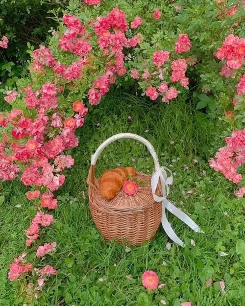 ins风微信朋友圈背景图0955