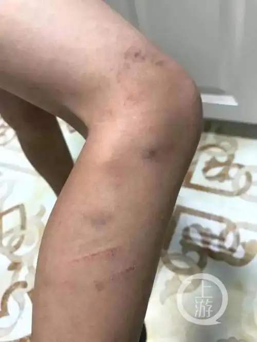 期间,他将11岁儿子送往位于哈尔滨市群力第六大道的"速优教育"补习